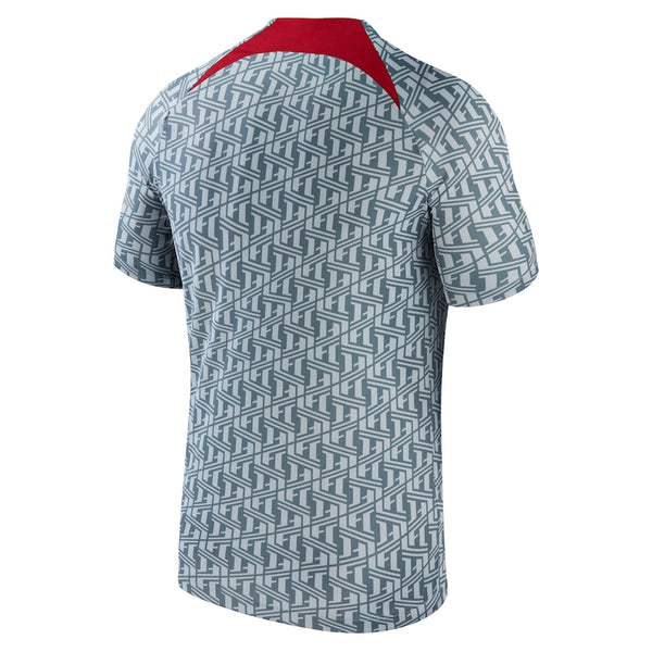 Liverpool  2023/24 Pre-Match Performance Top - Gray