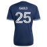 Soccer Intl Ryan Gauld Vancouver Whitecaps FC 2026 The Coastal Jersey Replica Blue