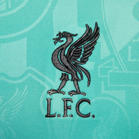 Liverpool 2024/25 Academy Pro Pre-Match Top - Teal