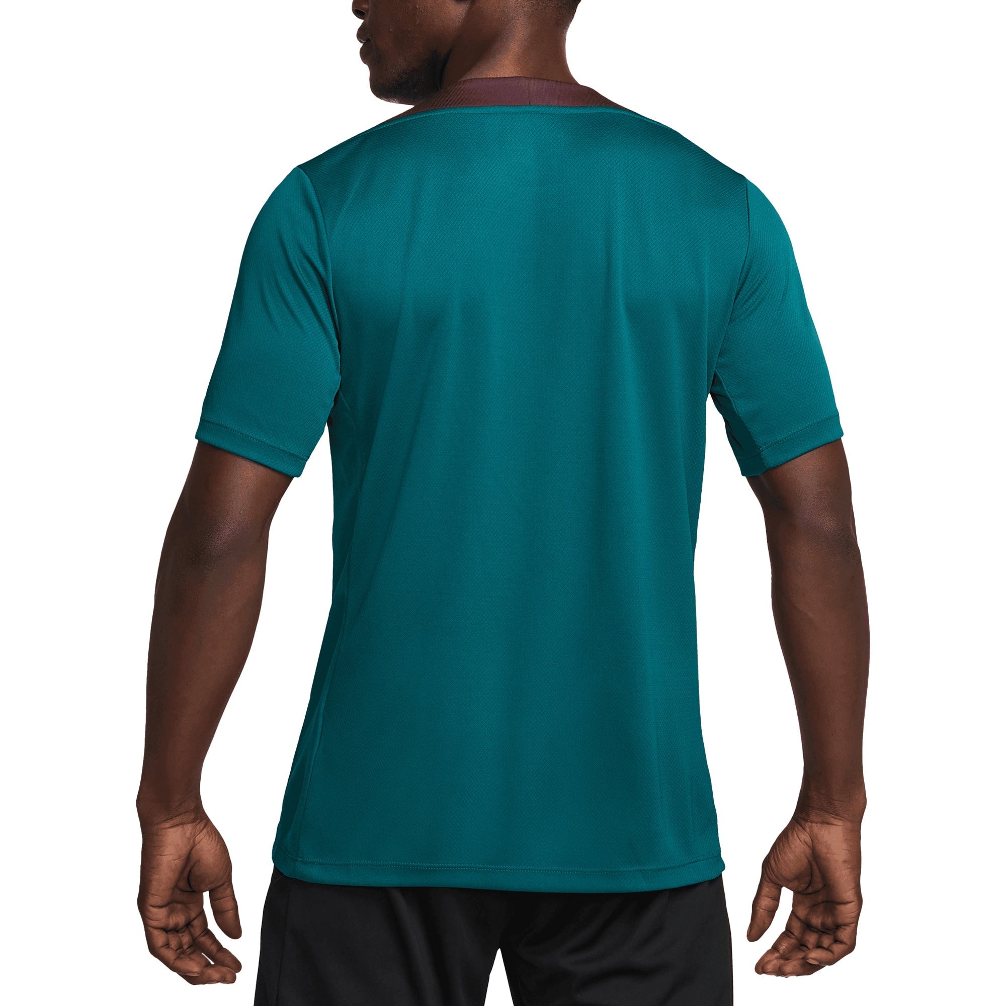 Paris Saint-Germain Nike 2024/25 Strike Performance Top - Teal