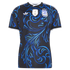 Soccer Intl Argentina National Team 2026 Away Replica Jersey Black
