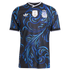 Soccer Intl Argentina National Team 2026 Away Authentic Jersey Black